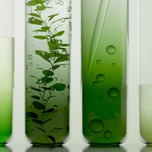 Bio Solution