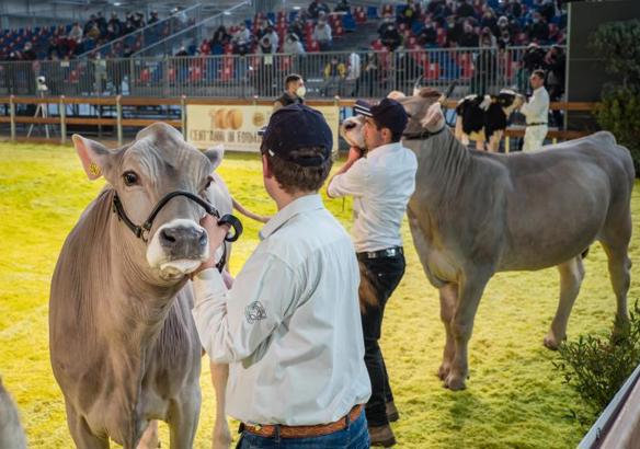 Fieragricola Magazine