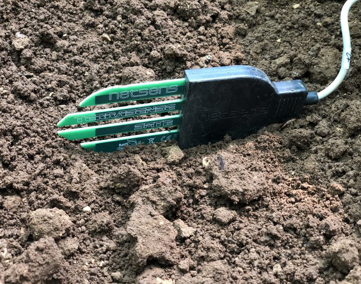 Fieragricola Tech 2025: intervista a Antonio Manes – Amministratore Delegato Netsens